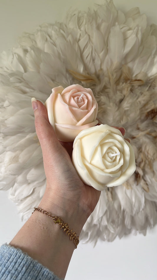 La rose