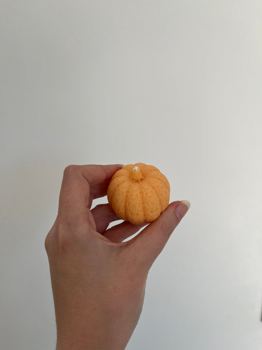 Le duo de mini citrouilles