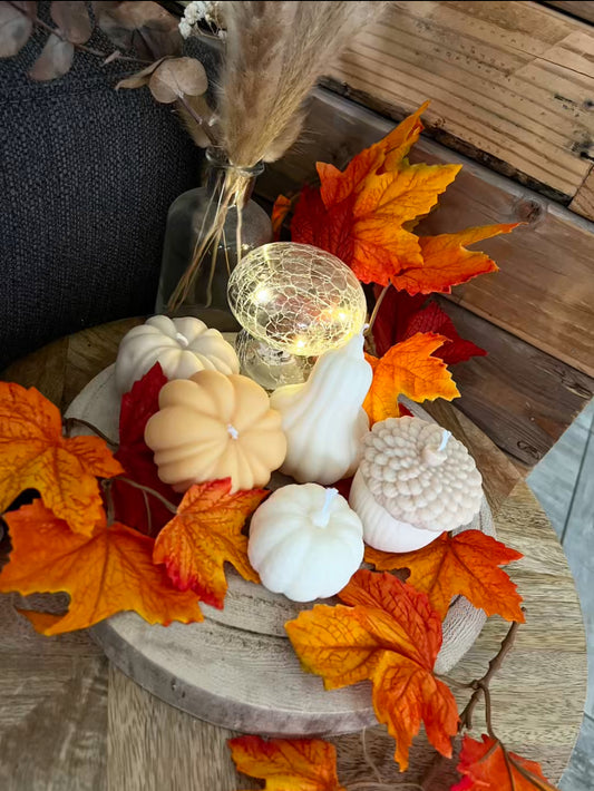 La collection d'Automne