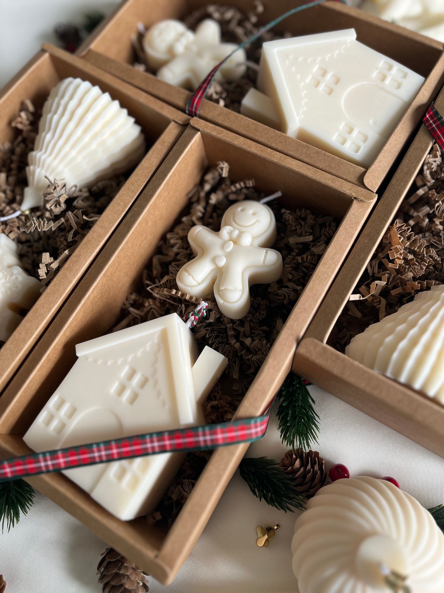 Coffret "Le village Boréal"